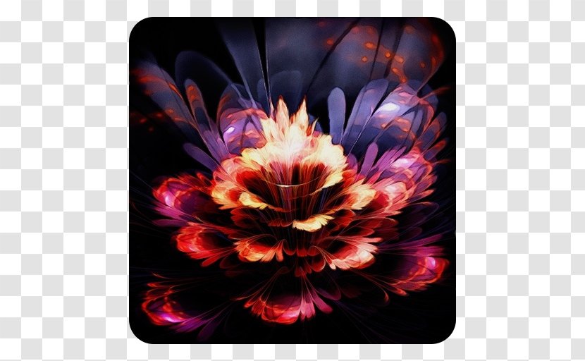 Purple Watercolor Flower - Wildflower - Tulip Magenta Transparent PNG