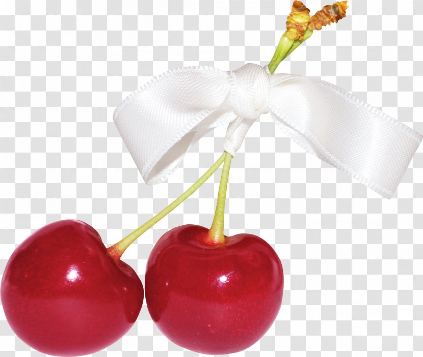 Sweet Cherry Peach Fruit Food - Prunus Transparent PNG