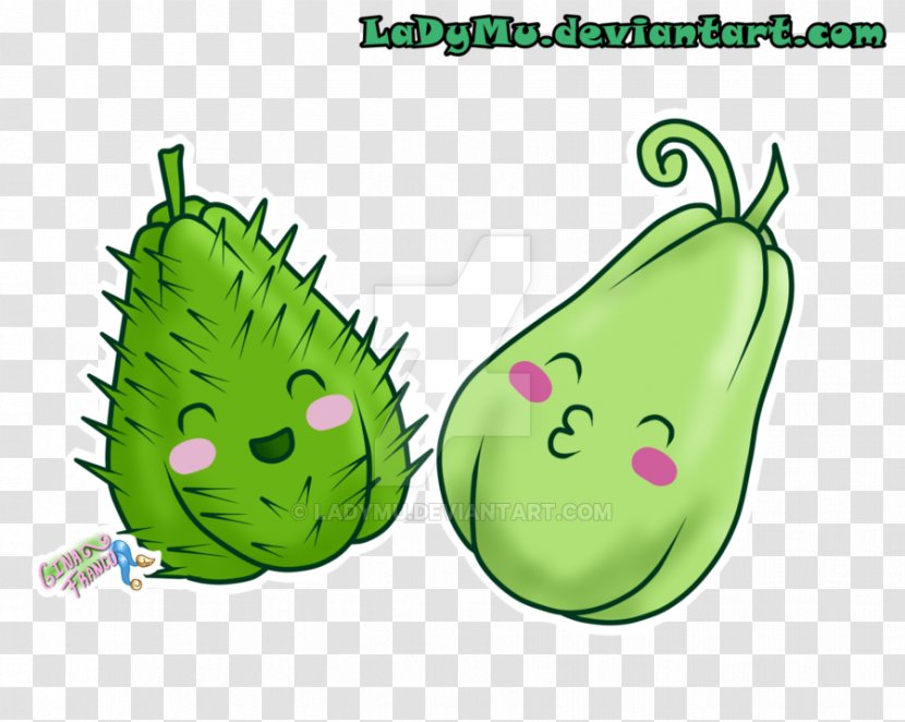Fruit Vegetable Chayote Digital Art Drawing - Plant - Verduras Transparent PNG