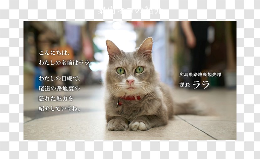 Cat 猫の細道 Tourism Map Google Street View - Japan Transparent PNG