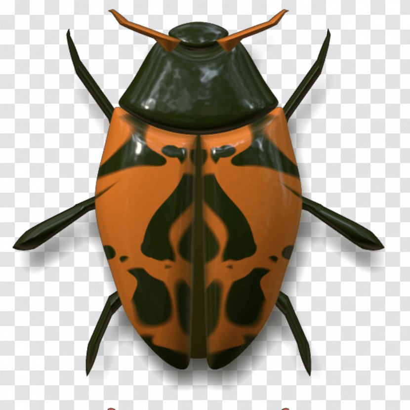 Insect Animal Arthropod - Invertebrate - Ladybug Transparent PNG