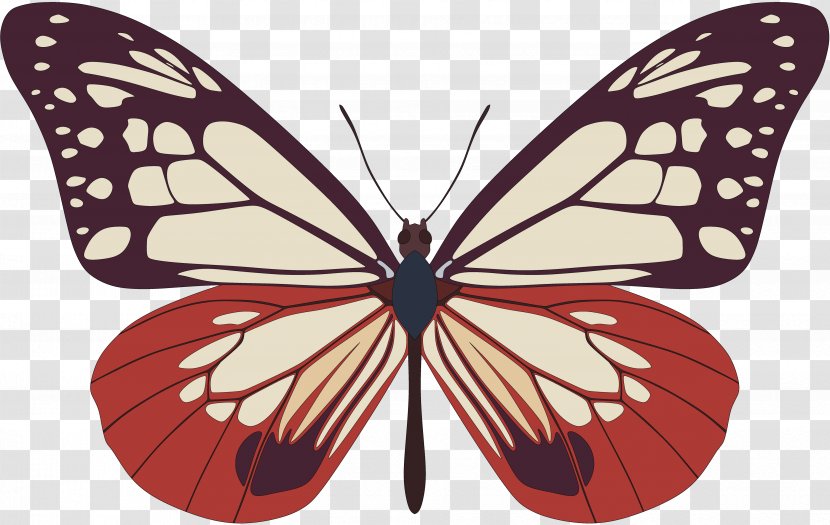 Butterfly Clip Art - Brush Footed - ID Transparent PNG
