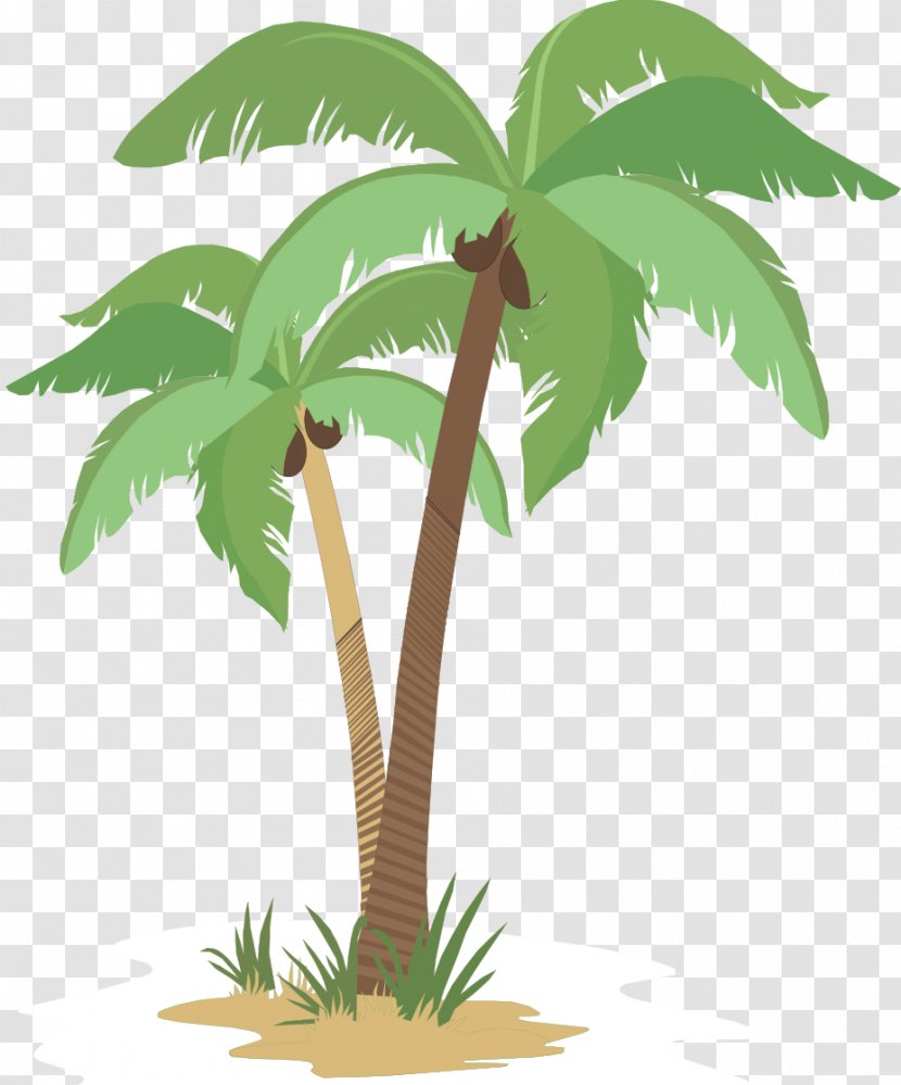 Coconut Arecaceae Flowerpot Tree Plant Stem - Leaf Transparent PNG