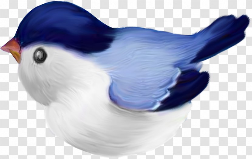 Bird Drawing Desktop Wallpaper Clip Art - Digital Image - A Transparent PNG