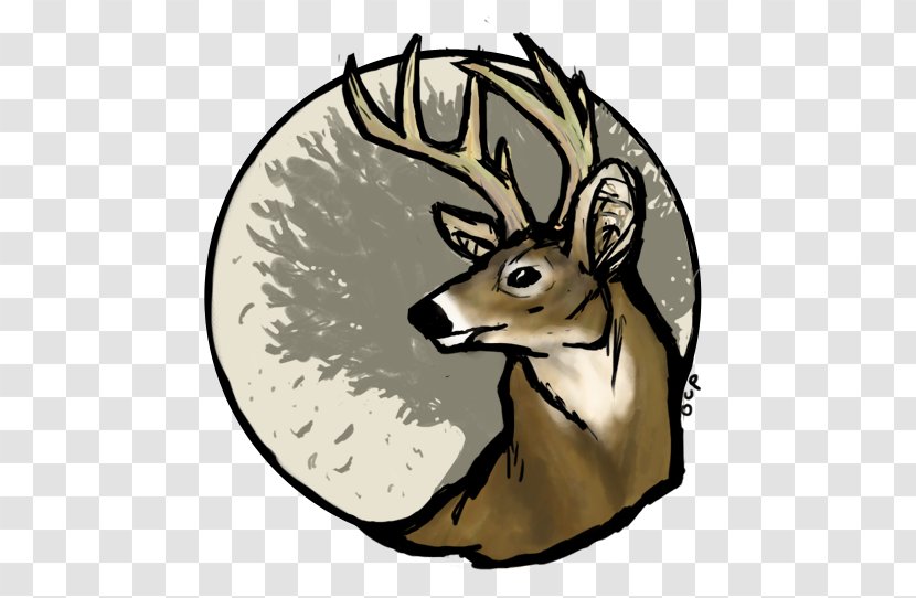 White-tailed Deer Reindeer Desktop Wallpaper - Carnivoran - Head Transparent PNG
