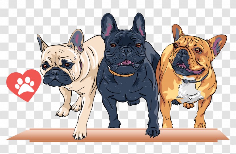 French Bulldog T-shirt Stock Photography Royalty-free - Royaltyfree - Cartoon Pet Dog Transparent PNG
