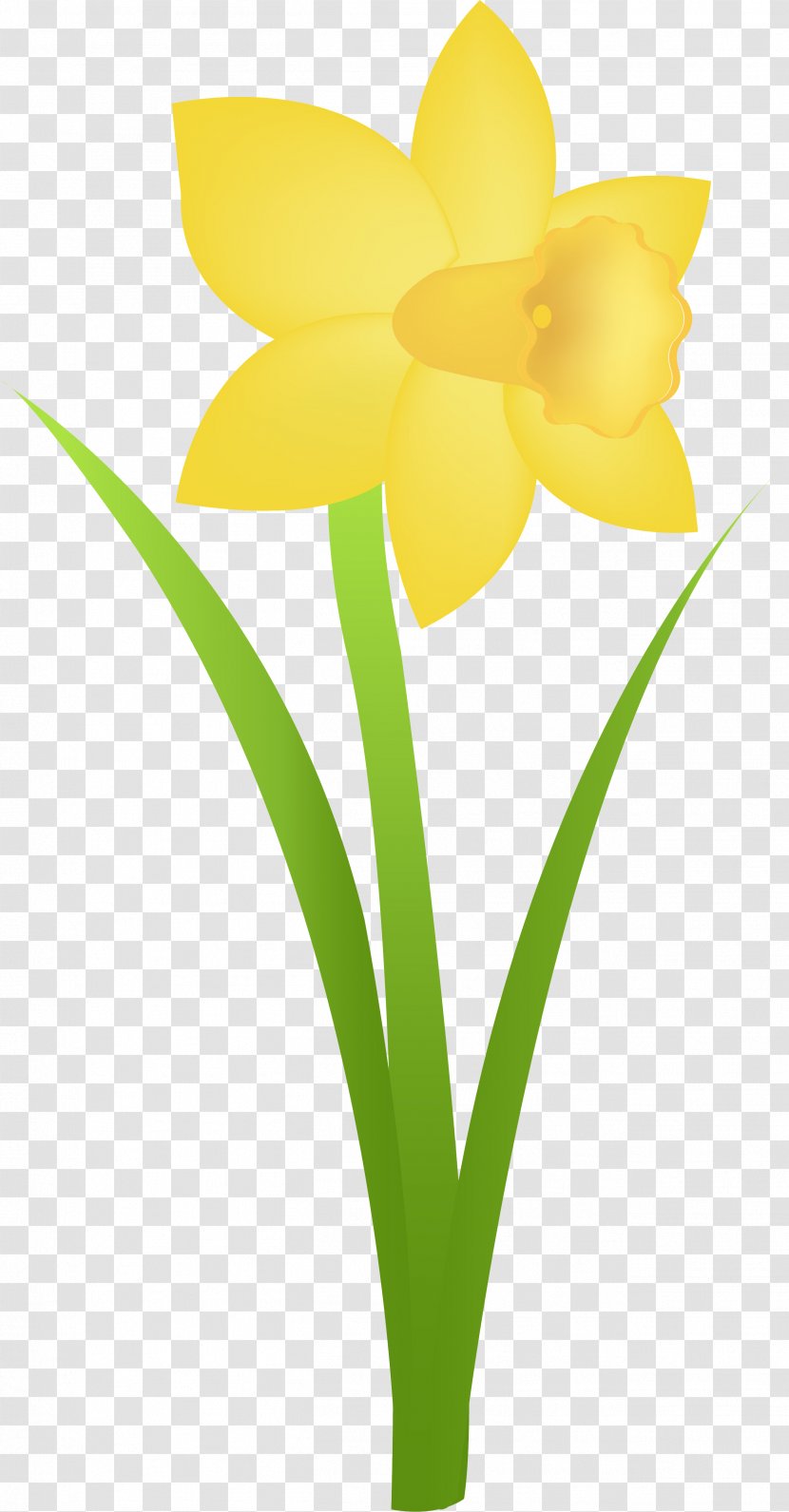 Flowerpot Tulip Daffodil Clip Art - Petal - Narcissus Transparent PNG