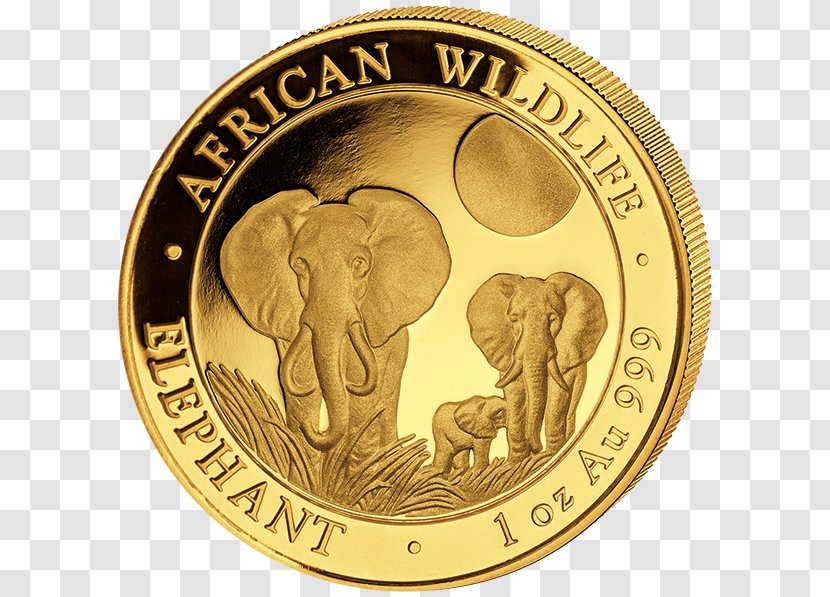 African Elephant Somalia Elephantidae Gold Coin Transparent PNG