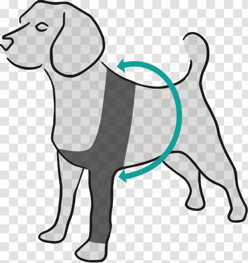 Dog Breed Amazon.com Suitical Recovery Sleeve Large Black - Like Mammal Transparent PNG