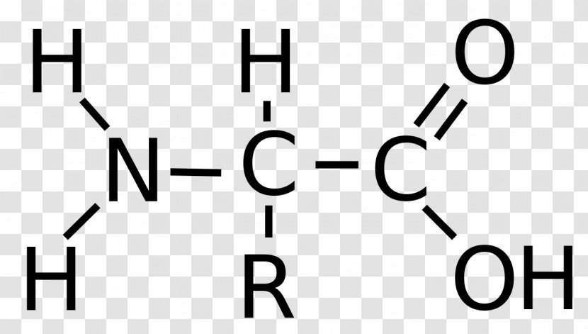 Acetic Acid Chemistry Structural Formula Carboxylic - Tree - Amino Transparent PNG