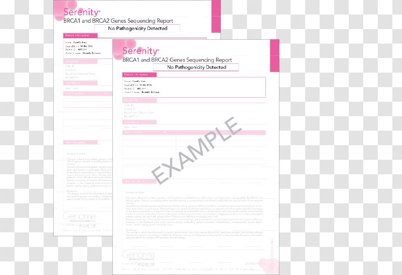 Document Pink M Line RTV Brand - Rtv Transparent PNG