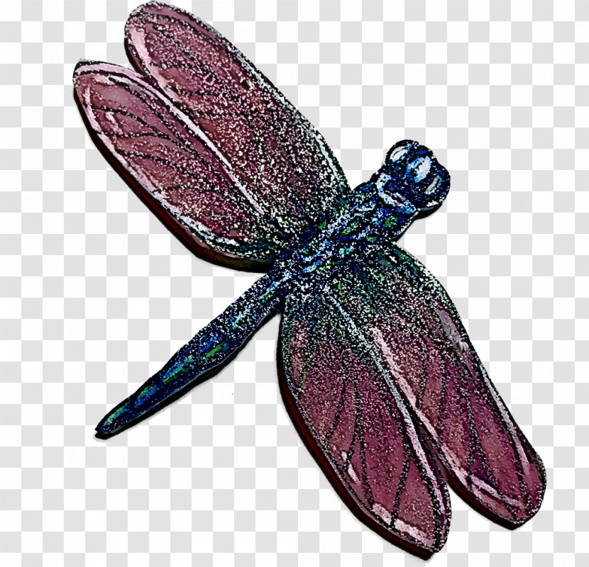 Cell Membrane Insect Butterflies Dragonfly Biological Membrane Transparent PNG