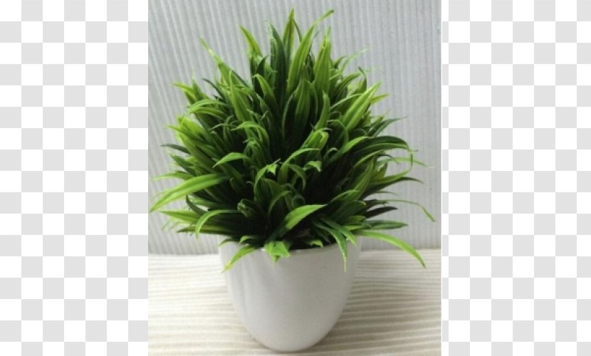 Houseplant Flowerpot - Grass Flat Transparent PNG