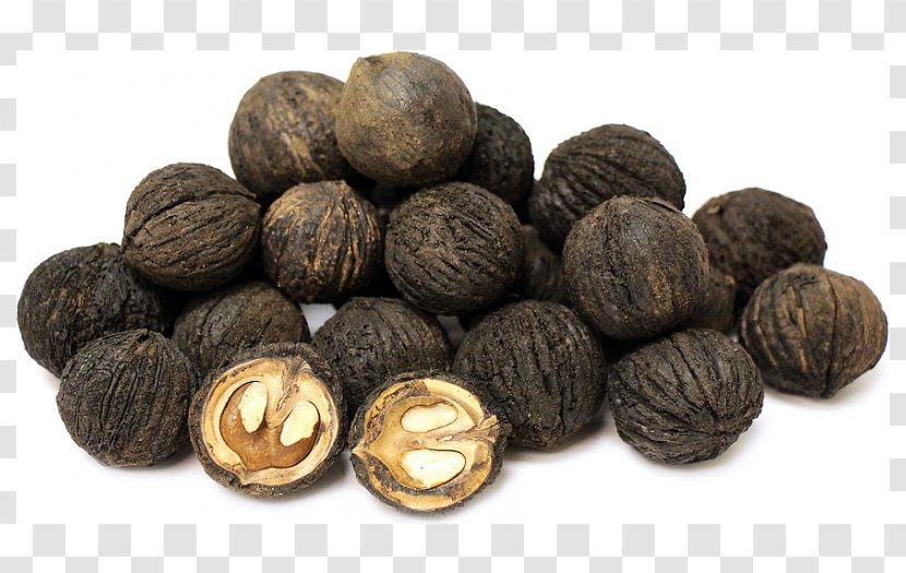 Eastern Black Walnut English Ingredient - Nuts Seeds Transparent PNG