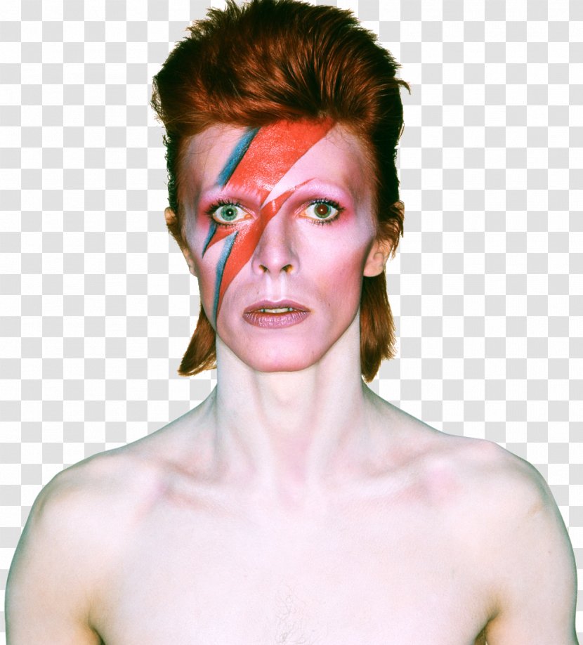 David Bowie Is Brooklyn Museum Art Gallery Of Ontario - Cartoon - Flower Transparent PNG
