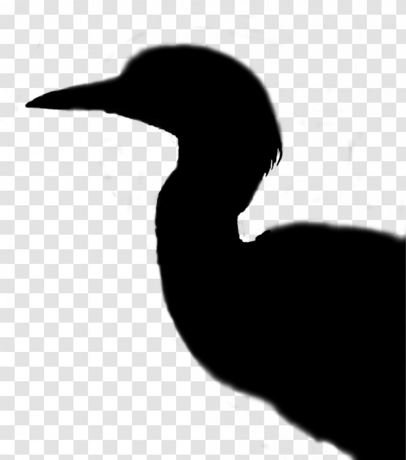 Cygnini Goose Beak Duck Water Bird - Silhouette Transparent PNG