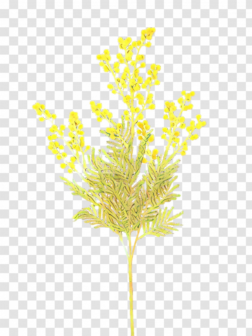 Yellow Plant Leaf Flower Grass Transparent PNG
