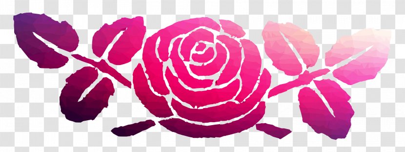 Garden Roses Illustration Graphics Pink M - Magenta Transparent PNG