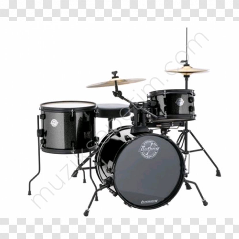 Ludwig Drums Drummer The Roots - Tree Transparent PNG