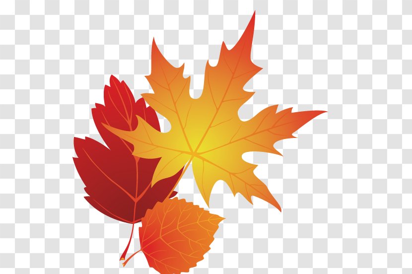 Autumn Leaf Color Clip Art - Maple Transparent PNG