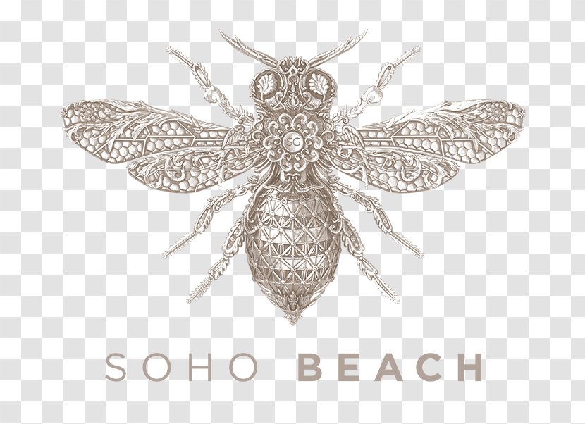 Soho Garden DXB SoHo Beach ANTS 2018 Nightclub Transparent PNG