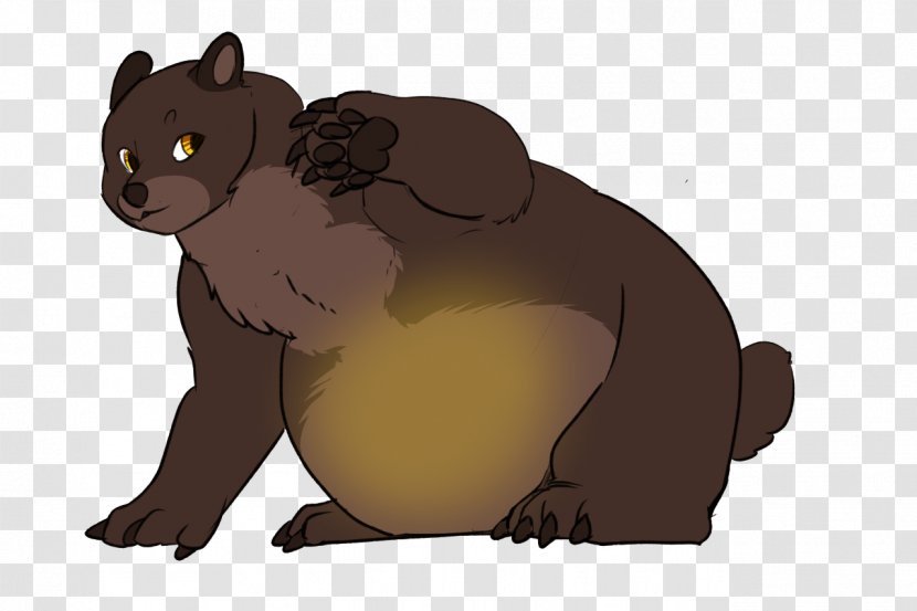 Bear Cat Beaver Fur Art - Mammal Transparent PNG