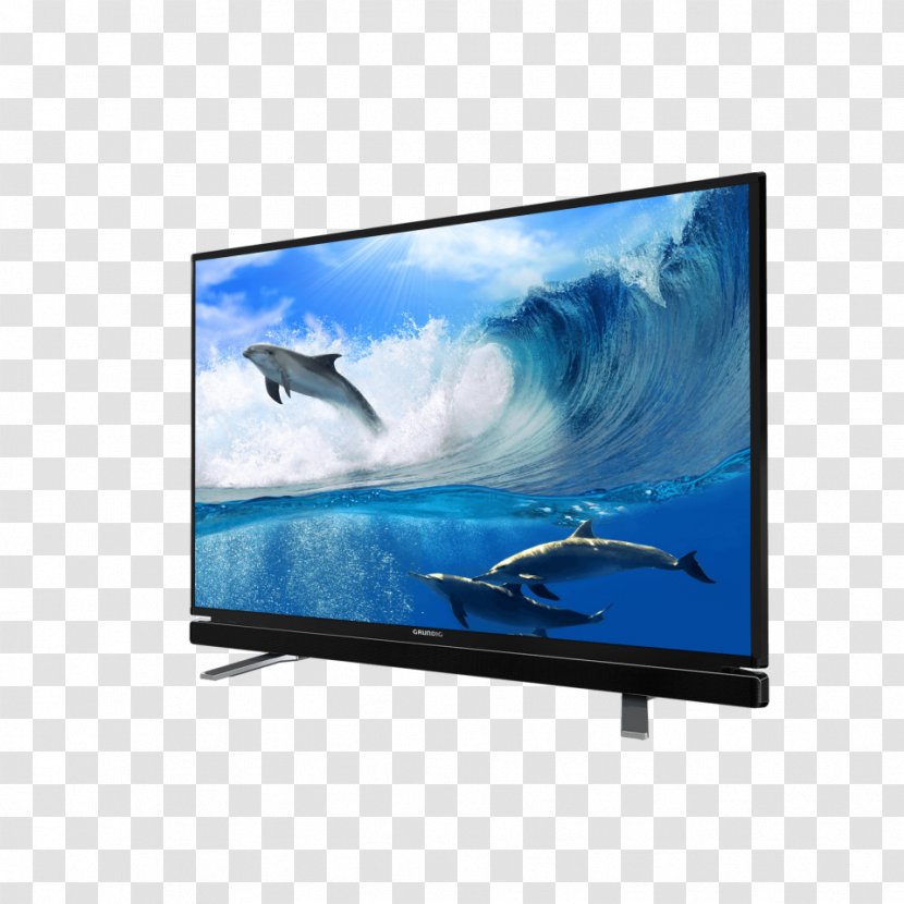 Desktop Wallpaper Television Spinner Dolphin YouTube - Computer Monitor Transparent PNG