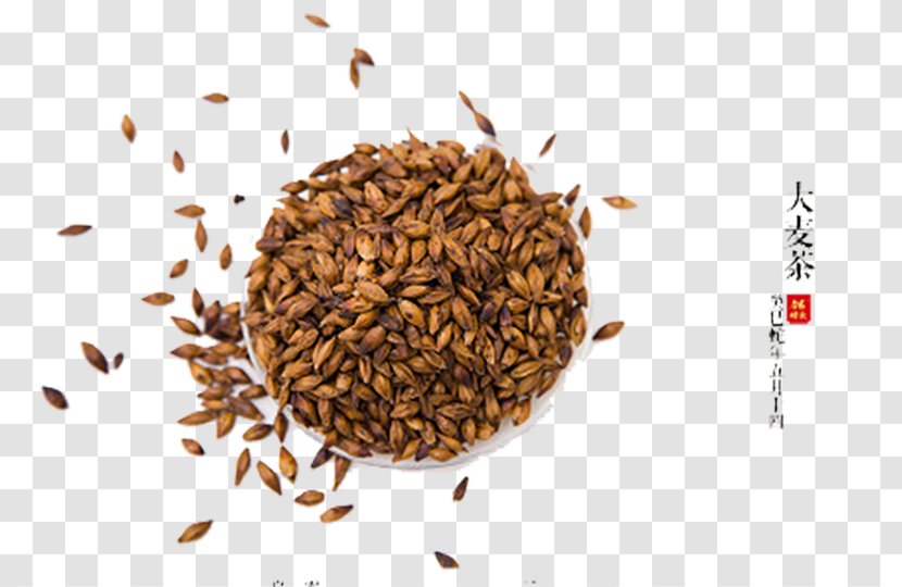 Barley Tea Transparent PNG