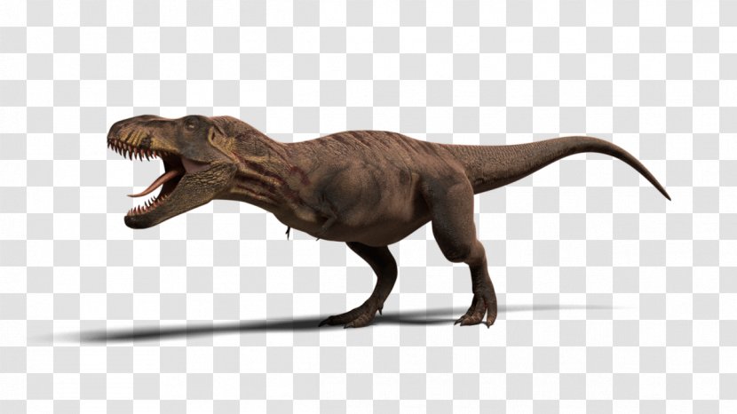 Tyrannosaurus Jurassic Park: Operation Genesis Ceratosaurus Velociraptor Dinosaur - Recreation Director Resume Sample Transparent PNG