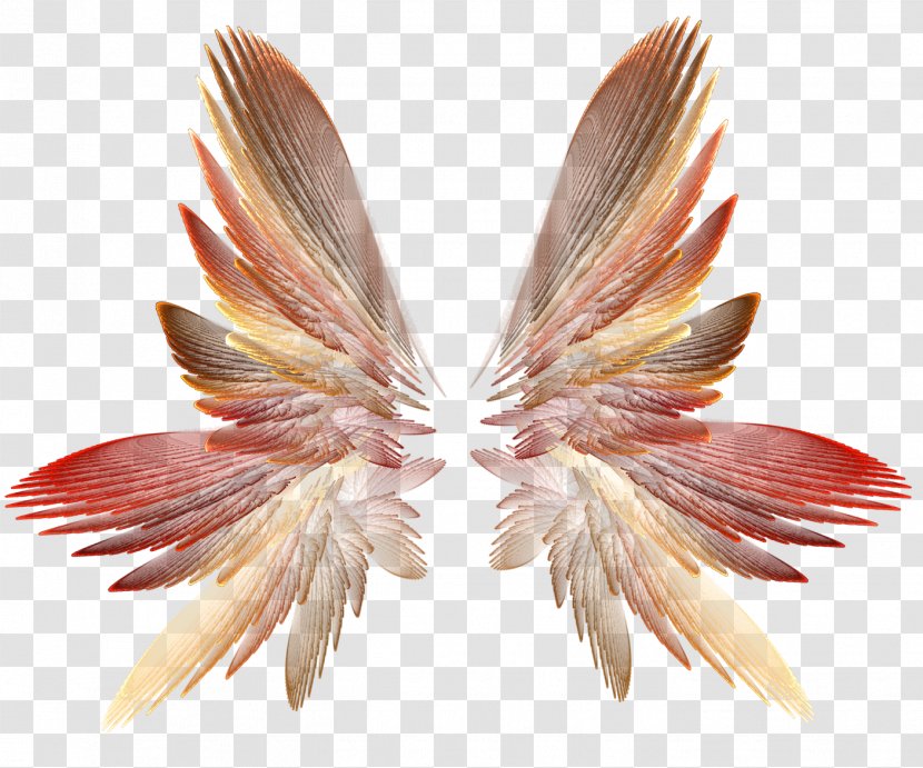Wing Clip Art - Photography - Wings Transparent PNG