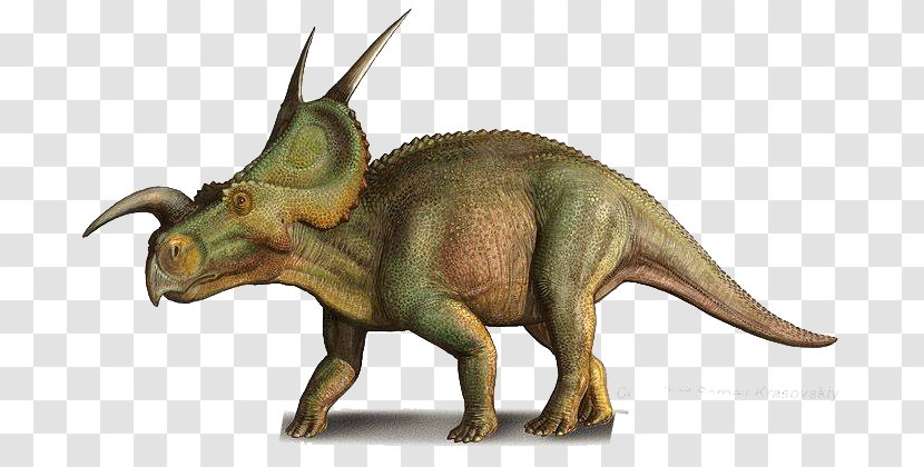 Einiosaurus Pentaceratops Late Cretaceous Dilophosaurus Achelousaurus - Triceratops - Dinosaur Transparent PNG