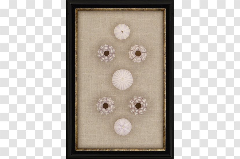 Sea Urchin Picture Frames Button Foam Core Glass Transparent PNG