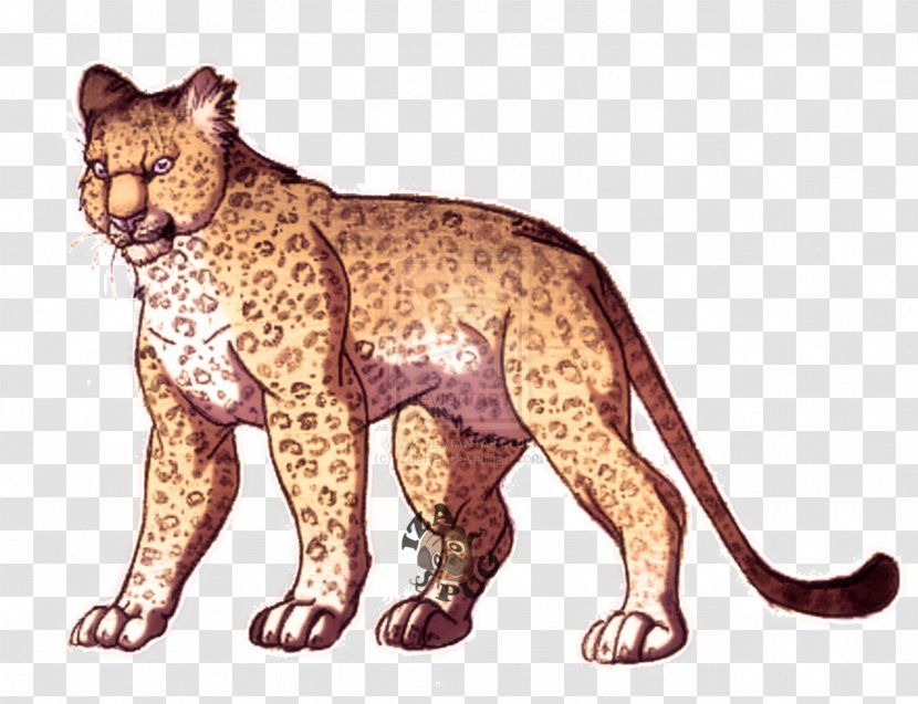 Cat Lion Leopard Cheetah Fauna - Big Cats Transparent PNG