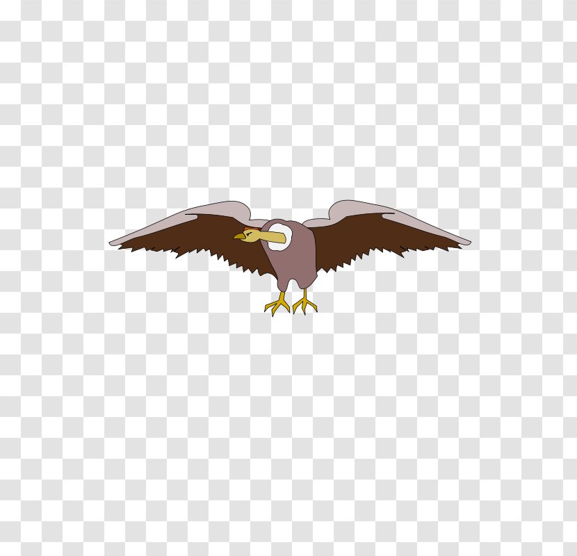 Bald Eagle Clip Art Vector Graphics Drawing - Beak - Ave Nacional Transparent PNG
