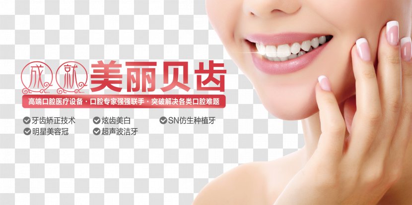Human Tooth Dentistry Whitening - Dental Braces - Beautiful Shell Transparent PNG