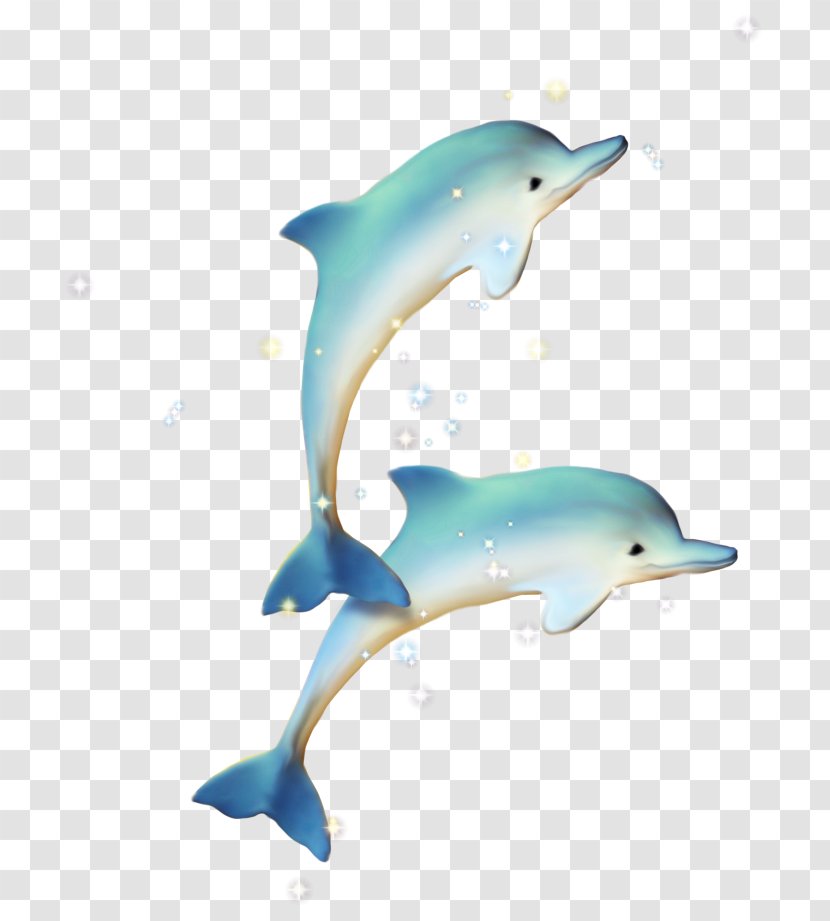 Common Bottlenose Dolphin Short-beaked Tucuxi - Turquoise - Blue Transparent PNG