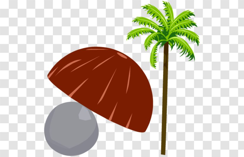 Leaf Product Design Clip Art Plant Stem - Coconut Shell Transparent PNG