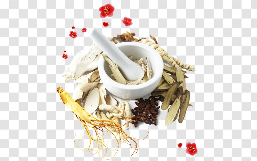 Chinese Herbology Traditional Medicine Medicinal Plants - Pharmaceutical Drug - Herbs Transparent PNG
