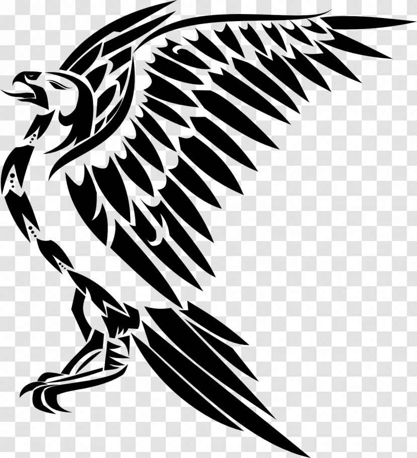Black And White Drawing Tattoo Clip Art - Fauna - Hawk Transparent PNG