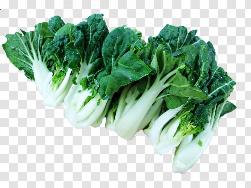 Bok Choy Napa Cabbage Chinese Vegetable - Lettuce - Food Silhouettes Painted Material,Vegetables Vegetables Transparent PNG
