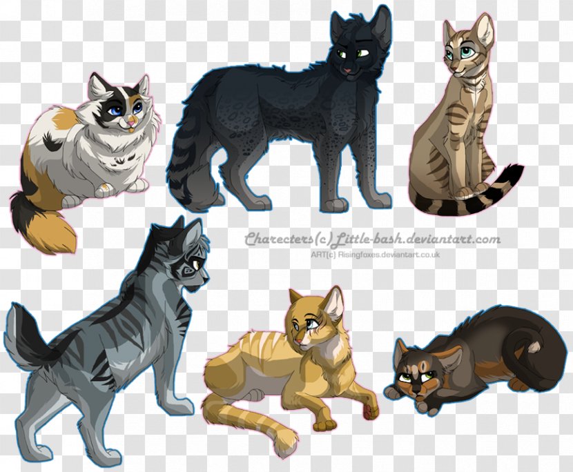 Whiskers Cat Warriors Art Drawing - Like Mammal Transparent PNG