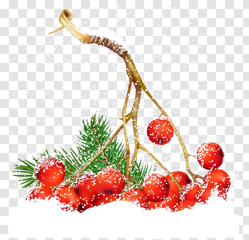 Common Holly Christmas Berry Clip Art - Mistletoe - Red Apple Transparent PNG