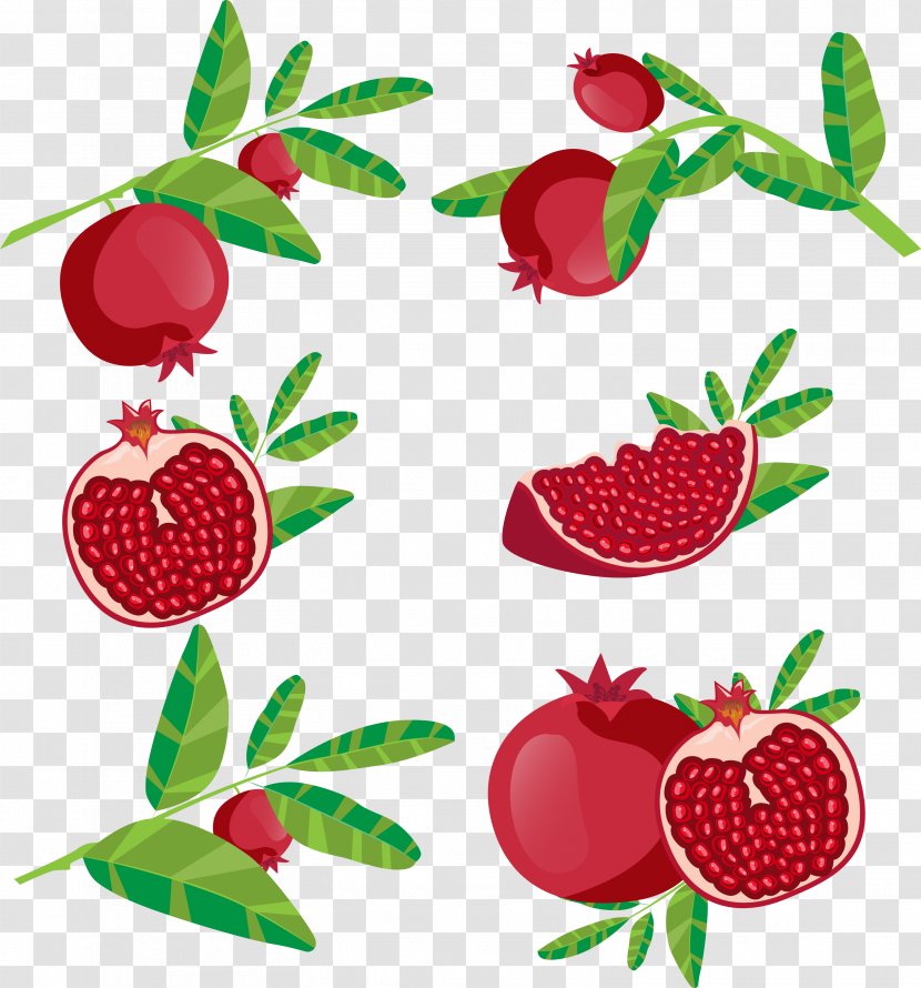 Pomegranate Juice Fruit Icon - Berry - Red Transparent PNG