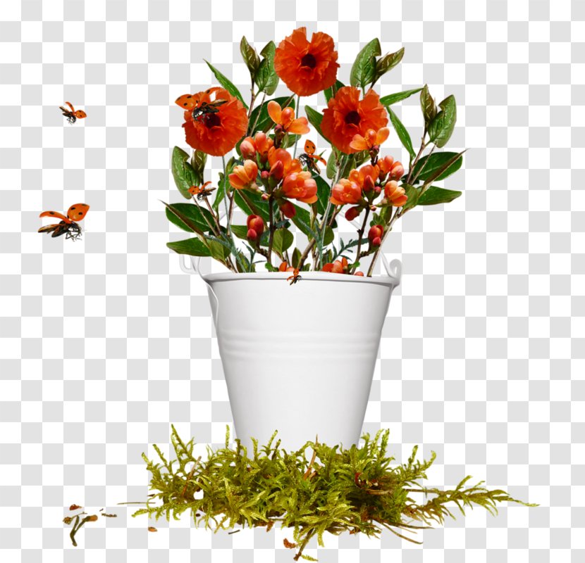 Floral Design Flower - Floristry Transparent PNG