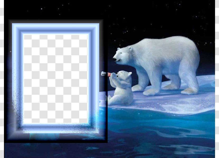 Coca-Cola Baby Polar Bear - Photo Frame Transparent PNG