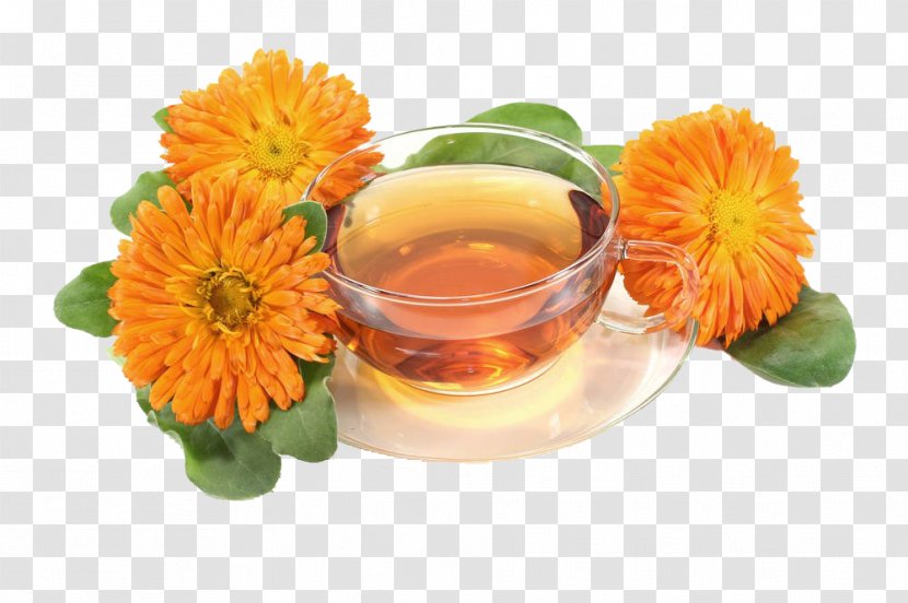 Tea Mexican Marigold Calendula Officinalis Flower - Dandelion Coffee - And Tea-free Material Transparent PNG