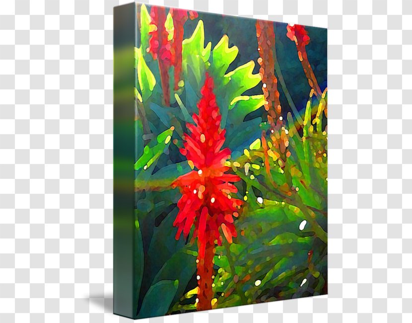 Canvas Art Flowering Plant Aquatic Plants - Leaf - Aloe Arborescens Transparent PNG