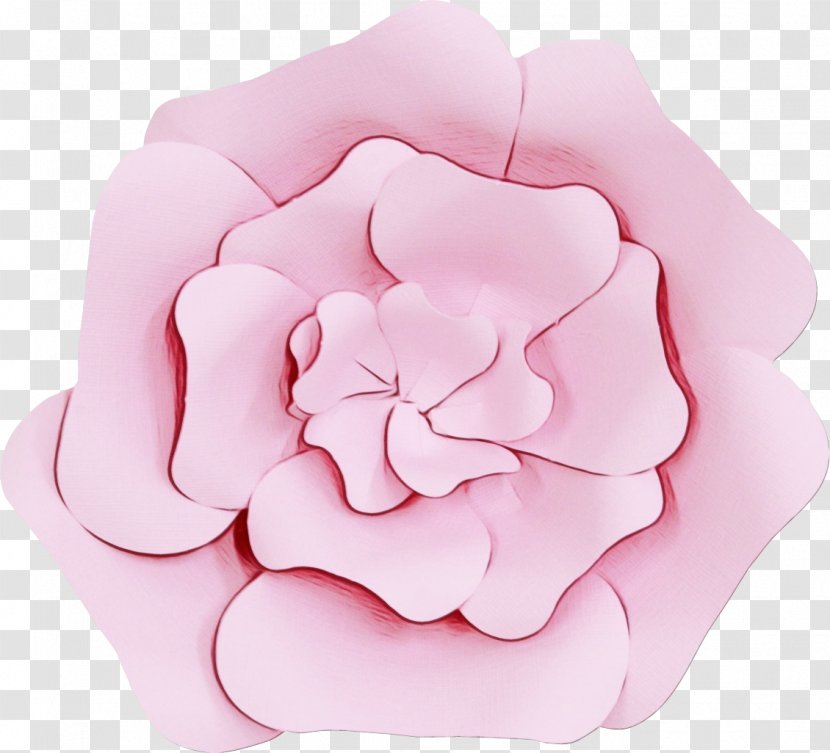 Garden Roses Cut Flowers Petal Product Design - Peony Transparent PNG