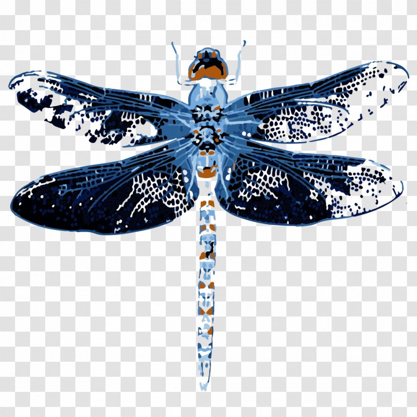 Butterfly Cartoon - Blue - Arthropod Invertebrate Transparent PNG