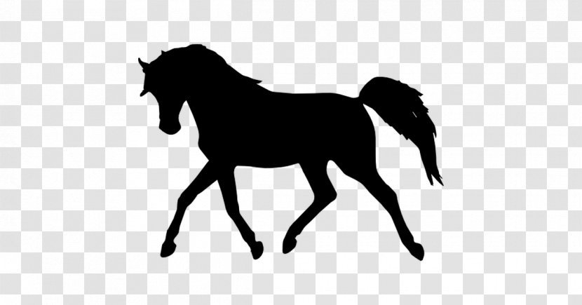 Tennessee Walking Horse Arabian Pony Equestrian Clip Art - Foal - Livestock Transparent PNG